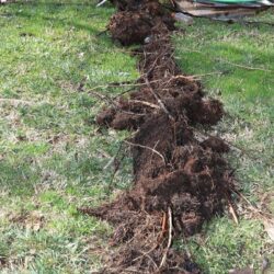 Trenchless plumbing repair excavation site for underground pipe replacement services in California.