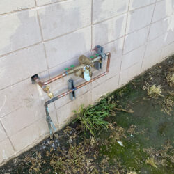 backflow device